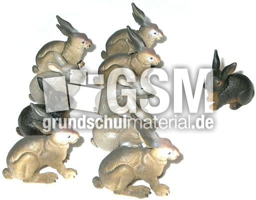 Hasen9+1.jpg